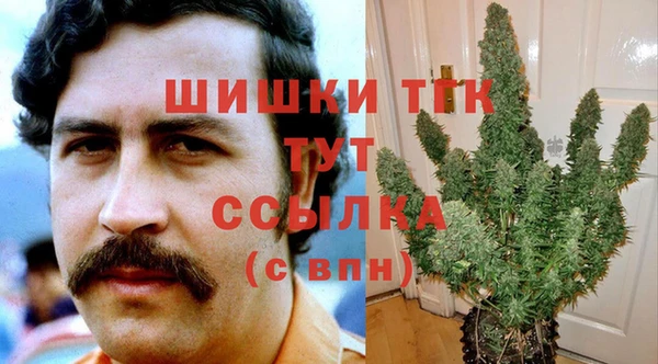 2c-b Кукмор