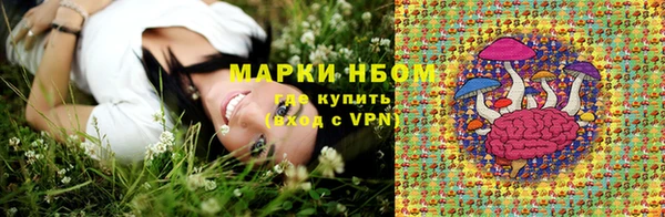 2c-b Кукмор
