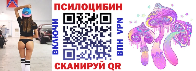 Купить где  Канаш  Псилоцибиновые грибы Cubensis 